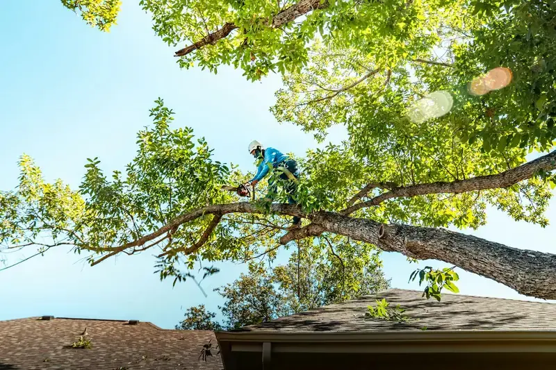 Climber trimming a large tree branch near a house